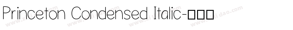 Princeton Condensed Italic字体转换